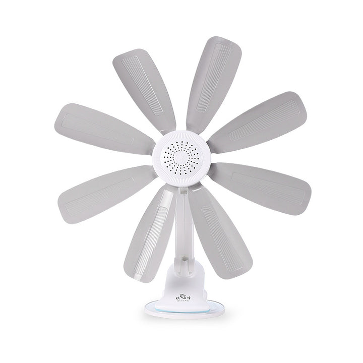 Ladies Stand Fan Stornfield