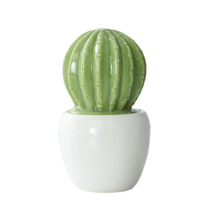 Decorative Ceramic Cactus Planter Stornfeild