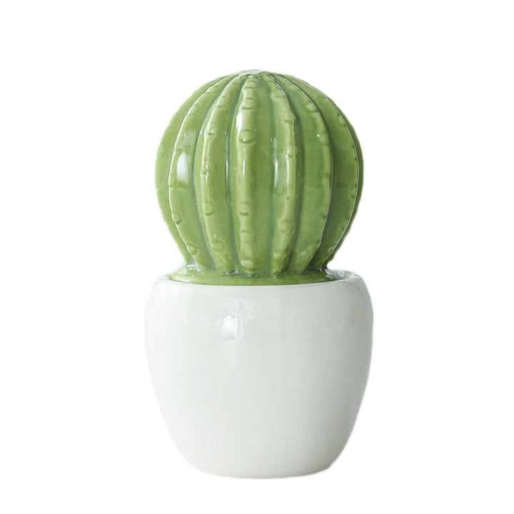Decorative Ceramic Cactus Planter Stornfeild