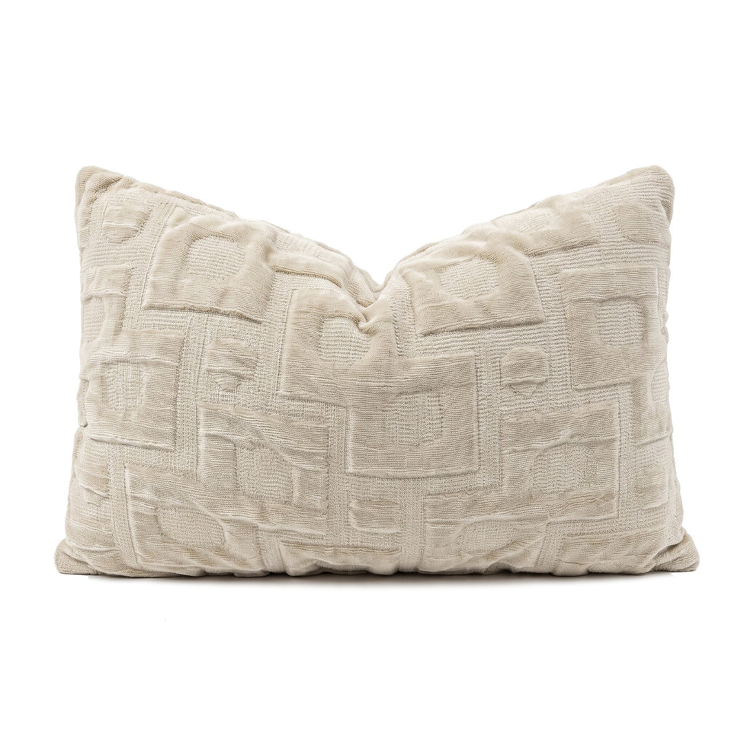 Luxurious velvet decorative pillow