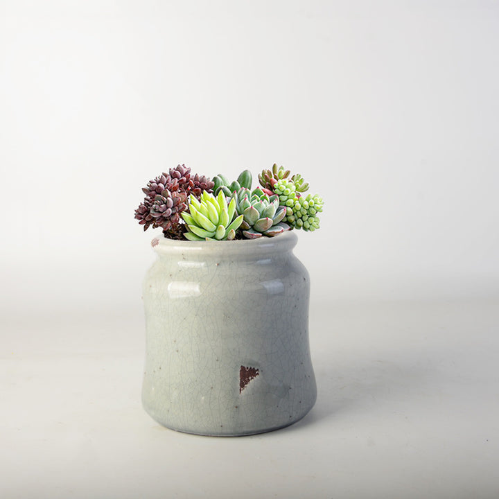 decorative storage pot Stornfield