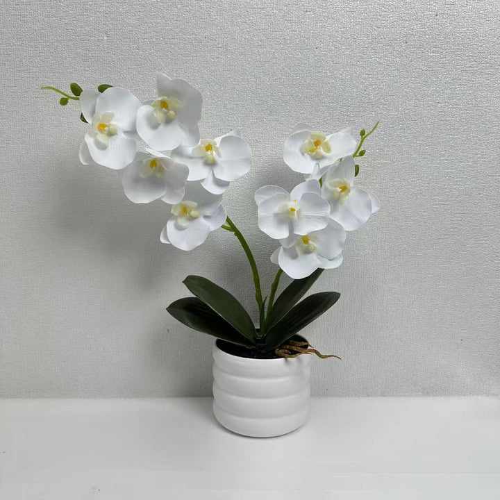 Lifelike Orchid Décor