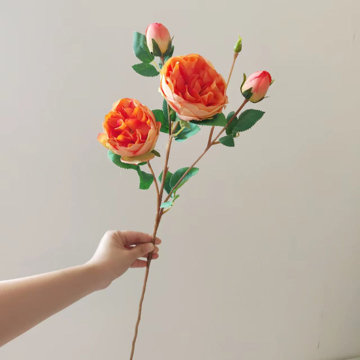 Realistic Floral Peony Stem