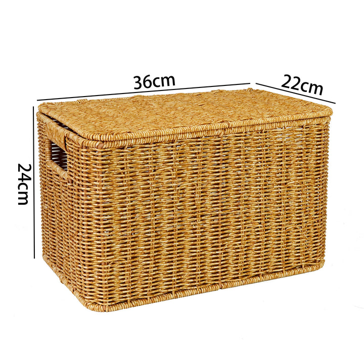 Handwoven Wicker Storage Chest Stornfield