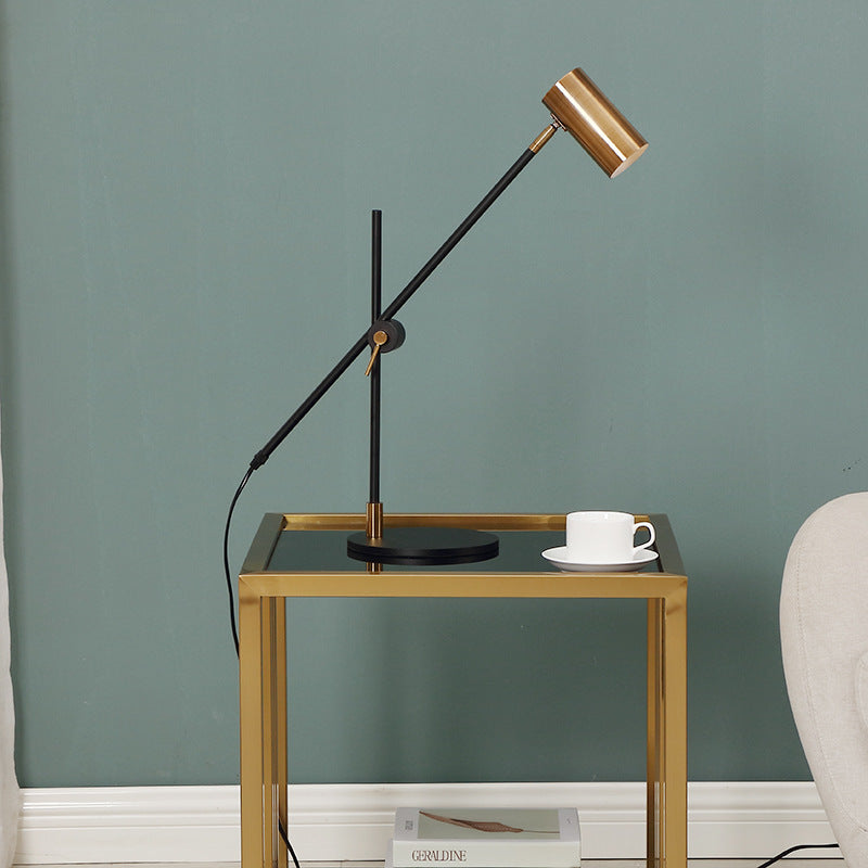 Adjustable Desk Lamp with Gold Accent