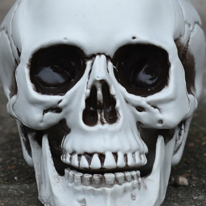 Decorative Realistic Skull Figurine Stornfield