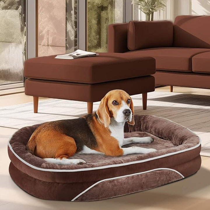Dog Bed