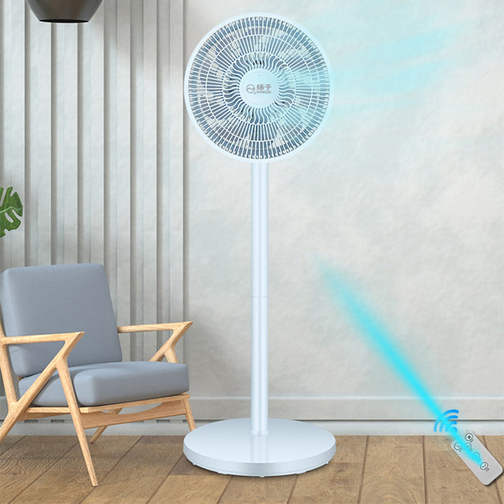 Ladies Stand Fan Stornfield