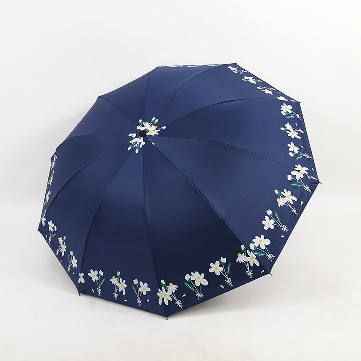 Ladies Umbrella Stornfield