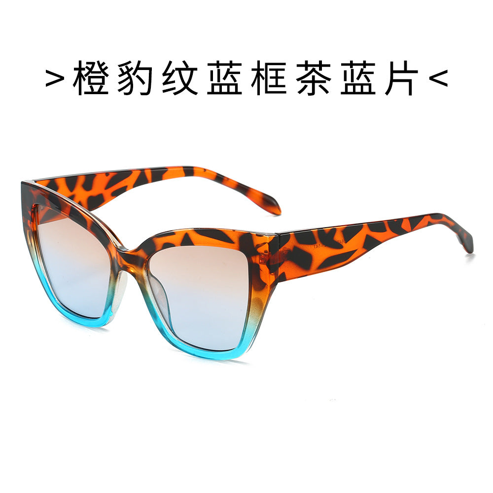 Women's Fashion Sunglasses in Trendy Tortoiseshell Design Stornfield