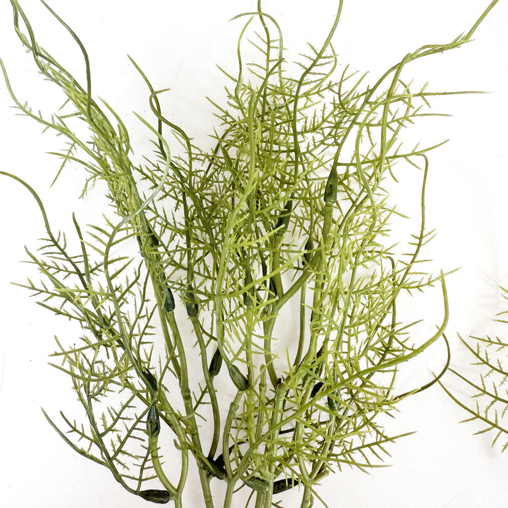 Realistic Fern Stem