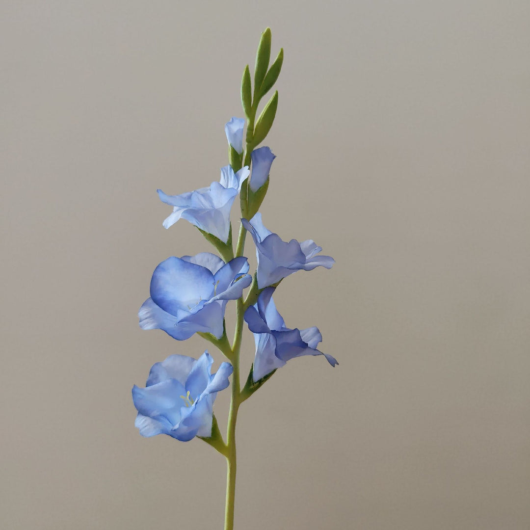 Orchid Floral Stem