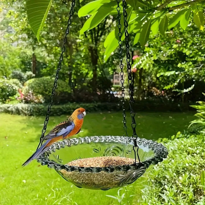 Bird Bath and Feeder Stornfield