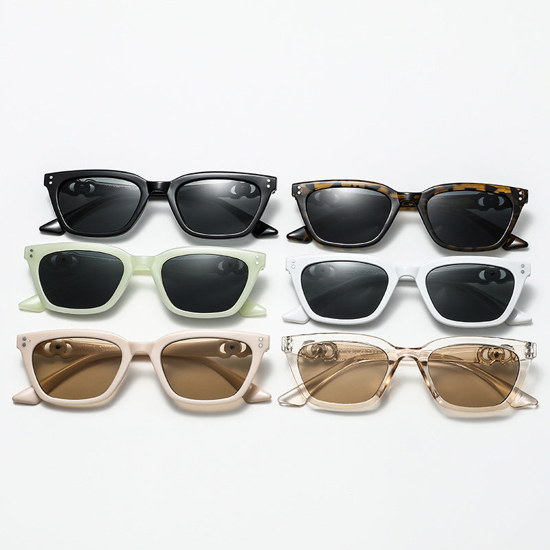 Women Elegant and fashionable sunglasses with decorative metal frame Stornfield