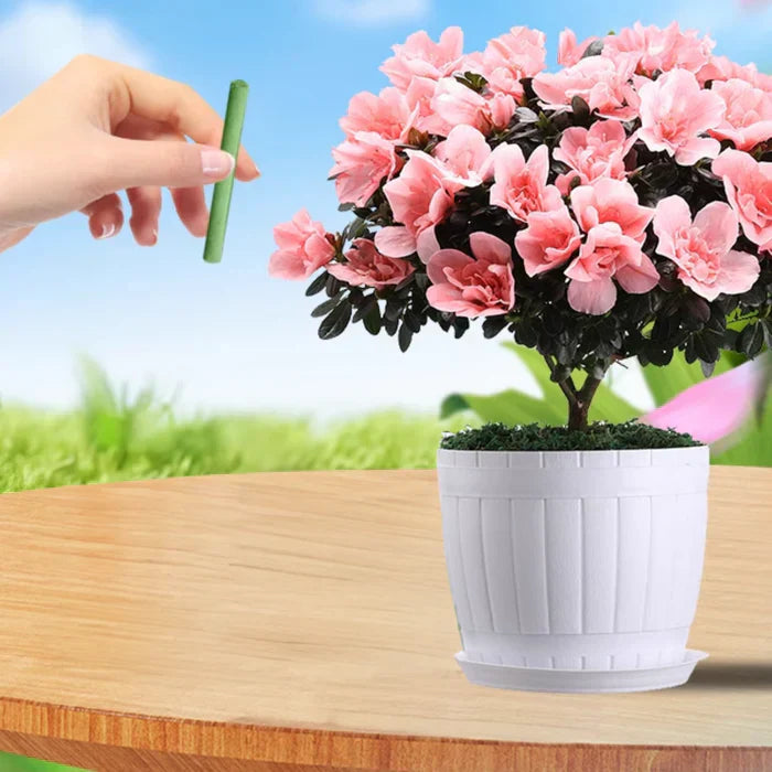 Stornfield Sustainable fertilizer for easy and long-lasting plant care