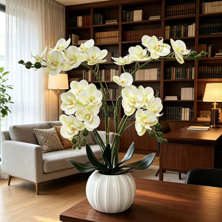 Elegant Realistic Orchid Arrangement