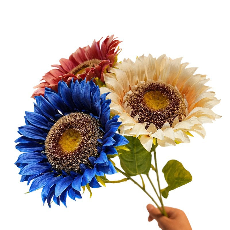 Decorative Plant Stornfield