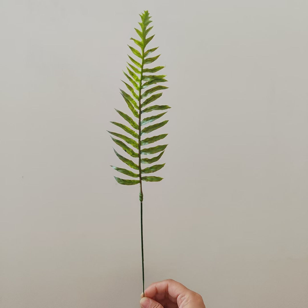 Tropical Palm Leaf Stem