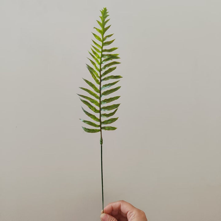 Tropical Palm Leaf Stem