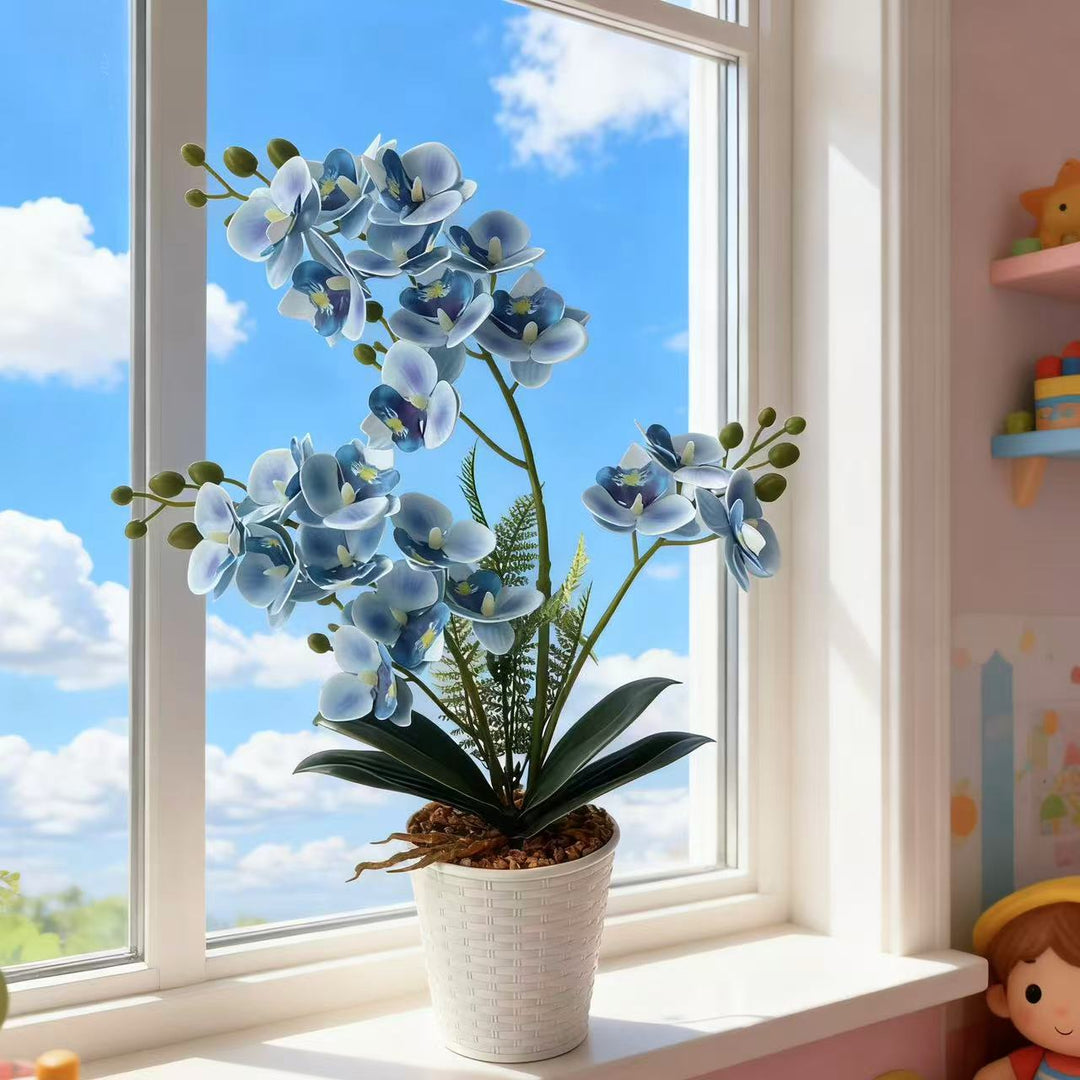 Elegant Decorative Orchid Plant Arrangement for Home Display