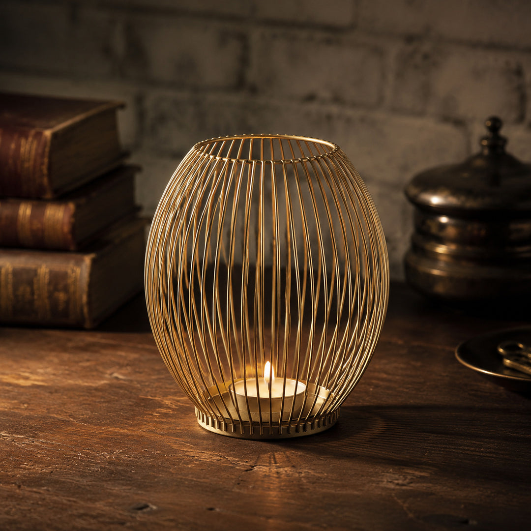 Sculptural Wire House Accent