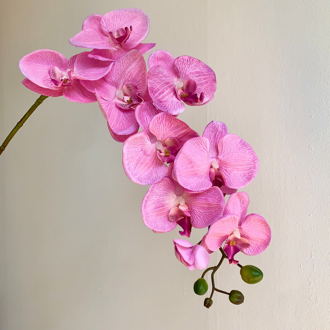 Floral Decorative