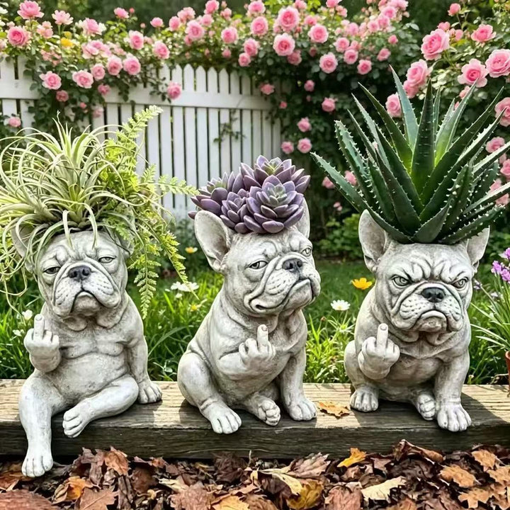 Decorative Dog Plant Stornfield