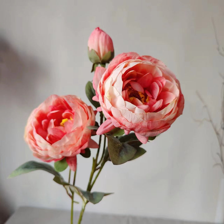 Elegant Peony Flower Stem