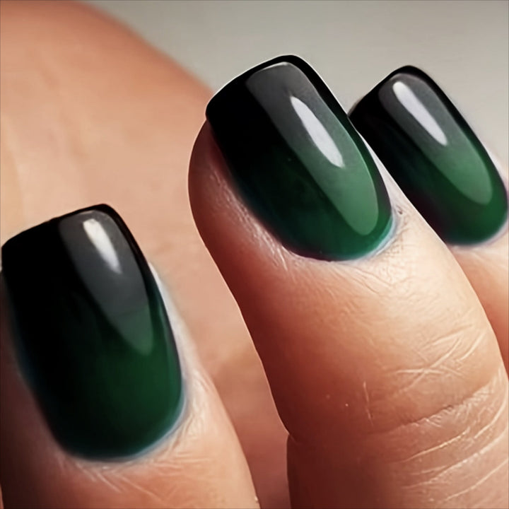 Ombre Nail Art Set