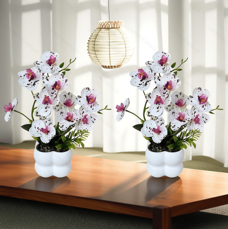 Lifelike Orchid Floral Display