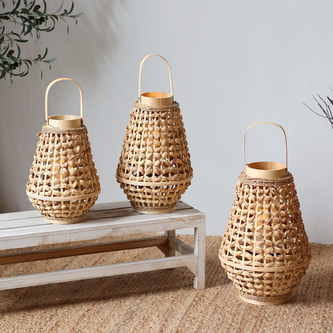 Lantern Stornfield