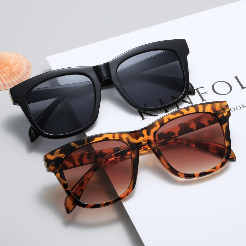 Ladies fashionable sunglasses in contemporary design Stornfield
