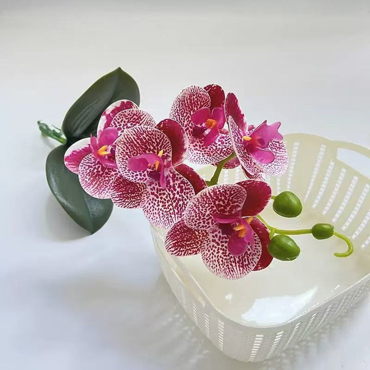 Realistic Faux Orchid Arrangement