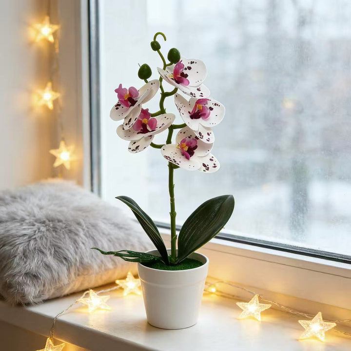 Decorative Artificial Orchid for Home Decor Display