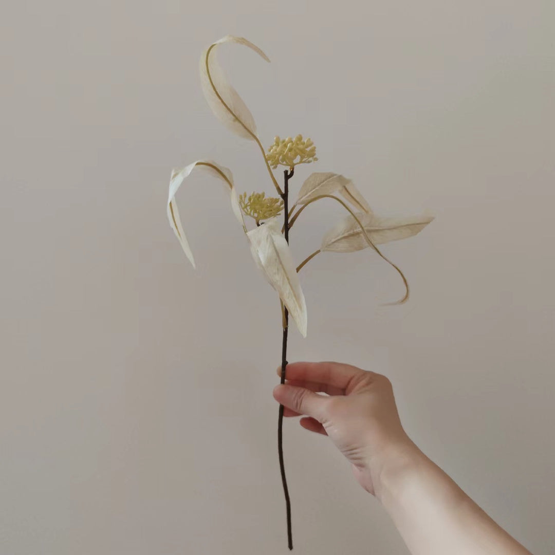 Natural Dried Floral Stem