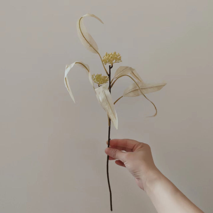 Natural Dried Floral Stem