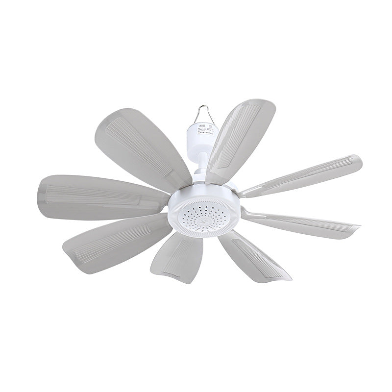 Ladies Ceiling Fan Stornfield