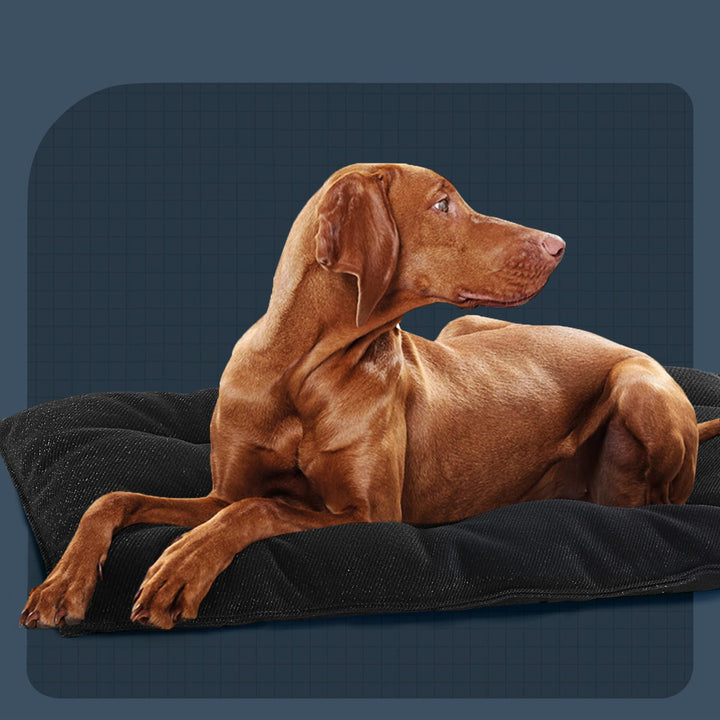 Orthopedic  Resting Pad   Dog Bed