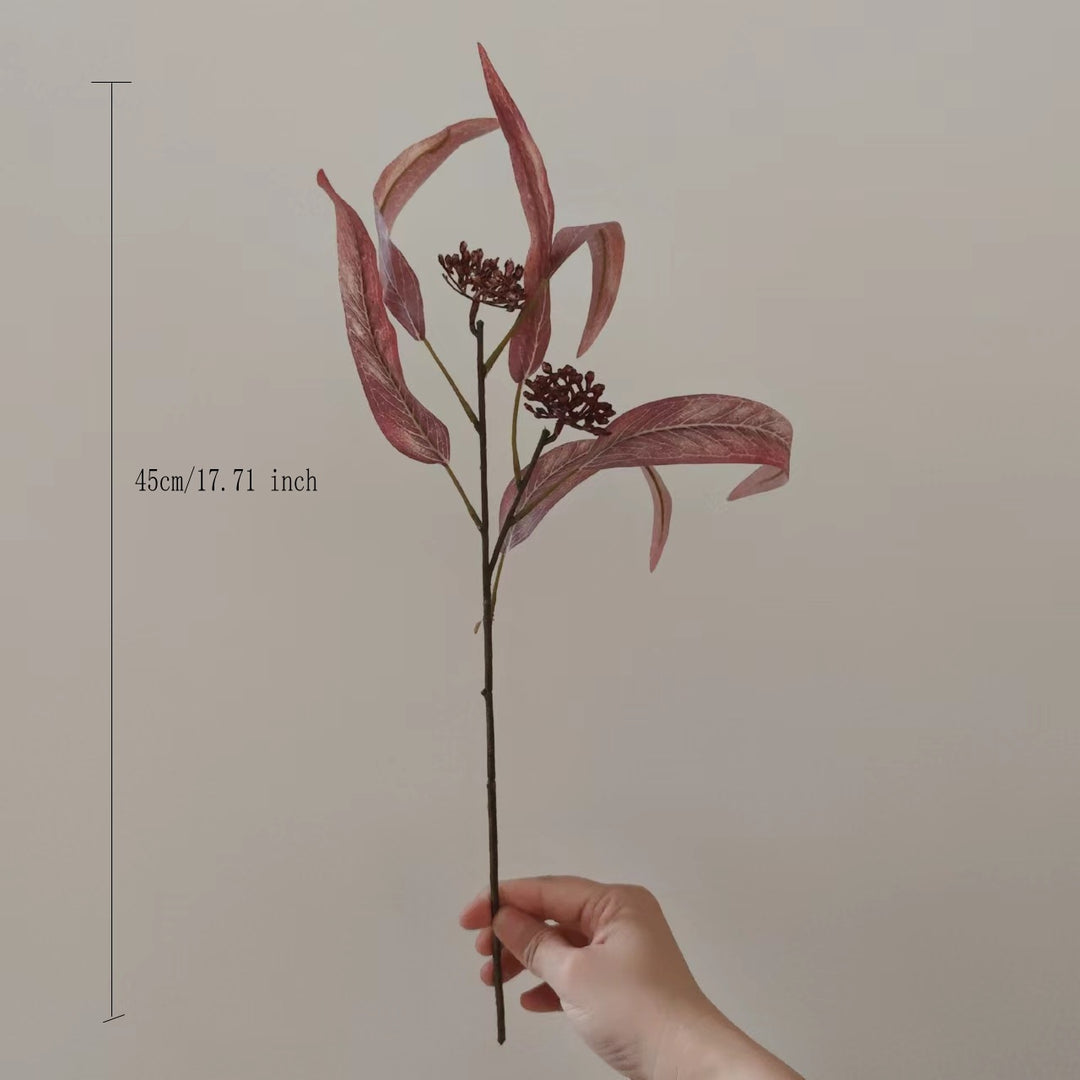 Natural Dried Floral Stem