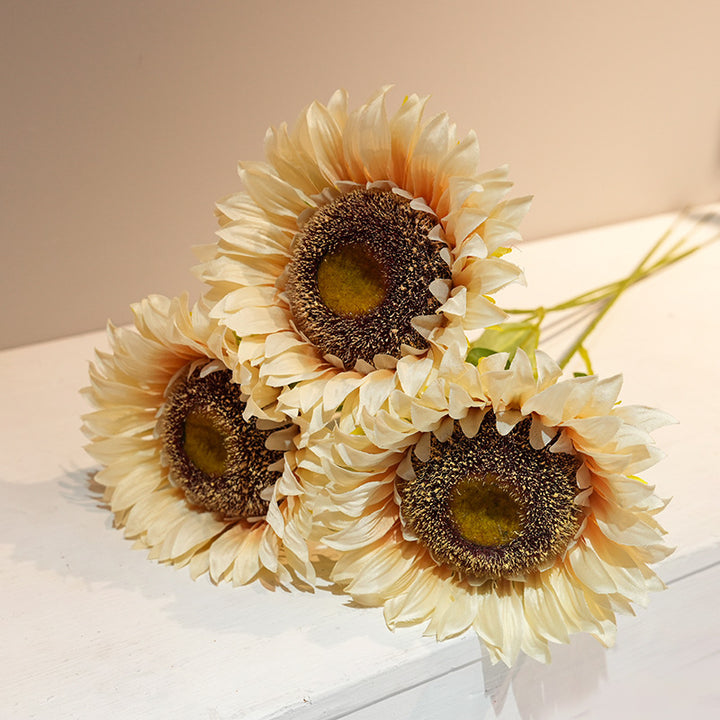 Decorative Plant Stornfield