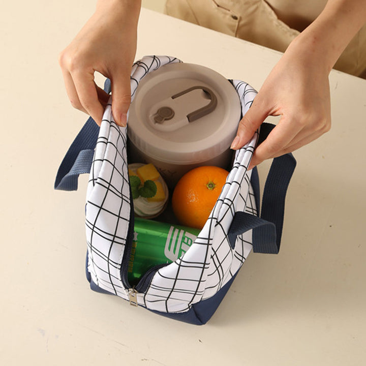 Insulated Lunch Cooler Bag