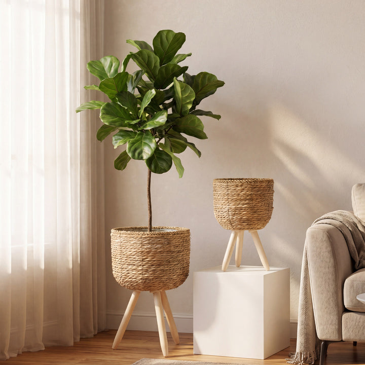 Stornfield Planter