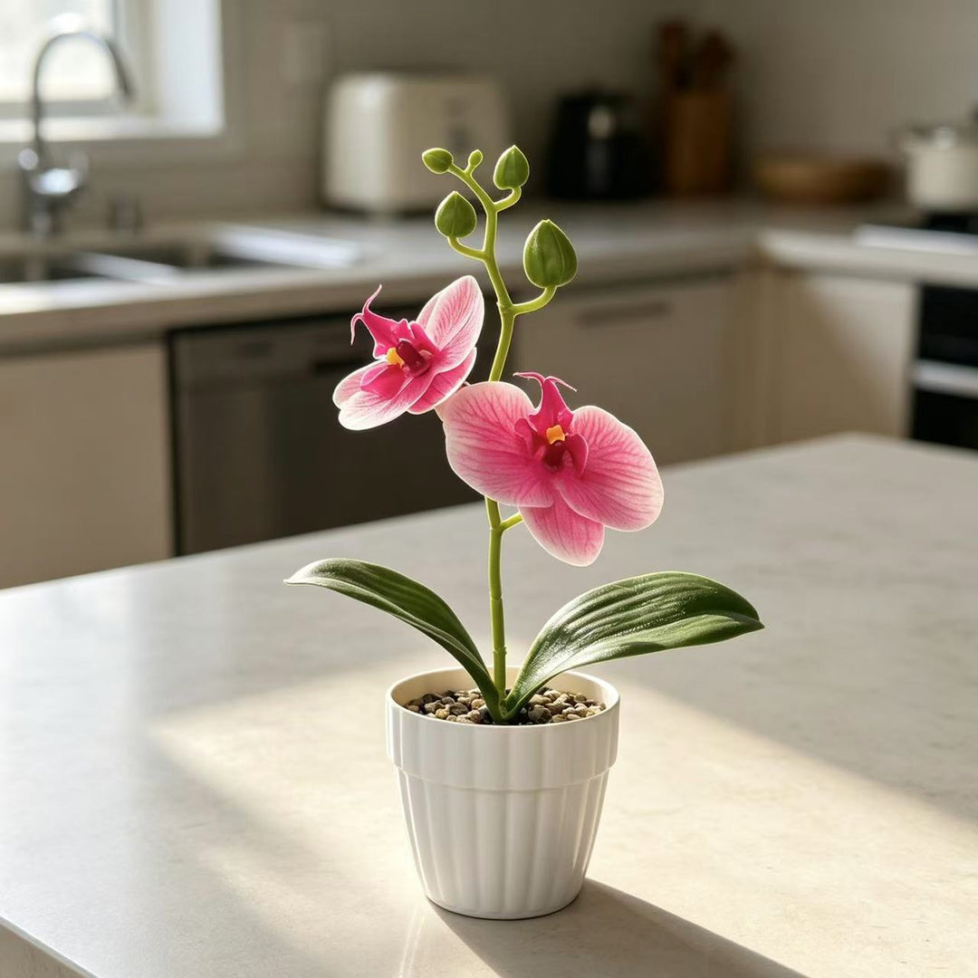 Lifelike Orchid Plant in Decorative Ceramic Pot for Decor