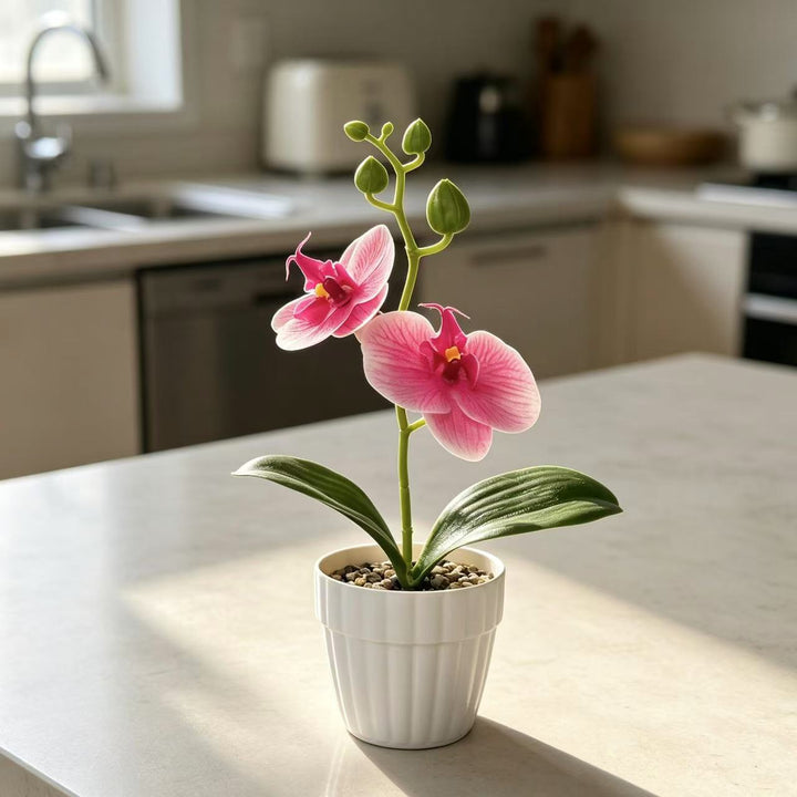 Lifelike Orchid Plant in Decorative Ceramic Pot for Decor