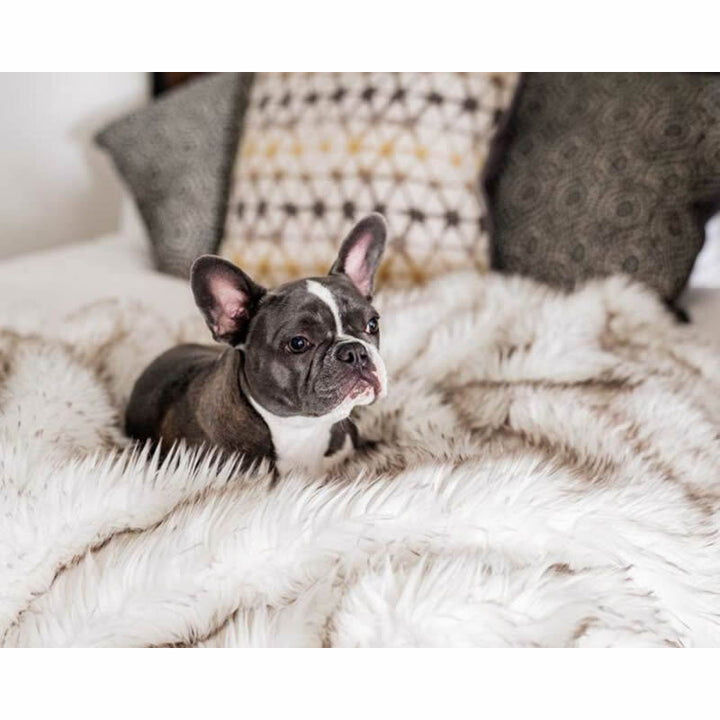 Unisex Snuggle Blanket Stornfield