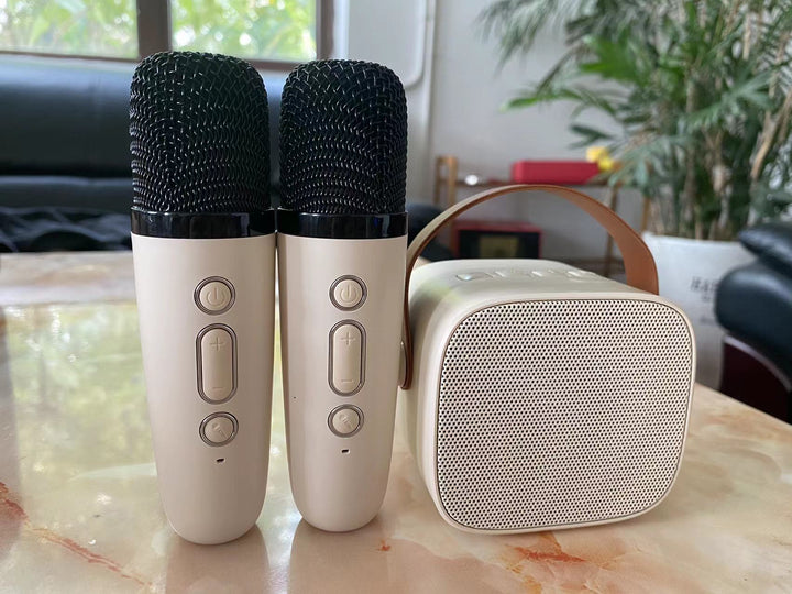 Portable Karaoke Microphone Set Stornfield