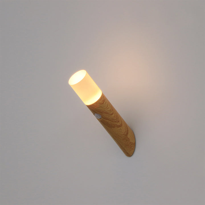 Modern LED Wall Light