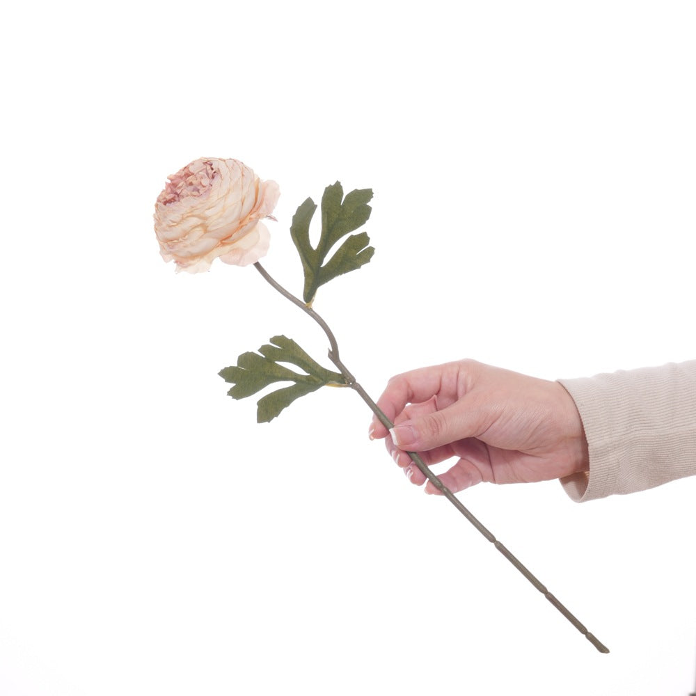 Realistic Floral Stem with Detailed Petals