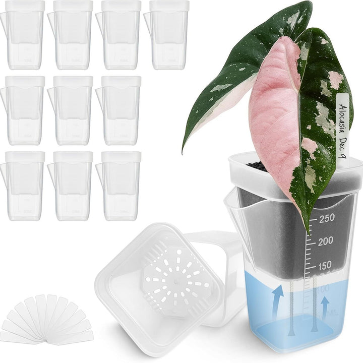 Self-Watering Seed Starter Pot System Stornfield