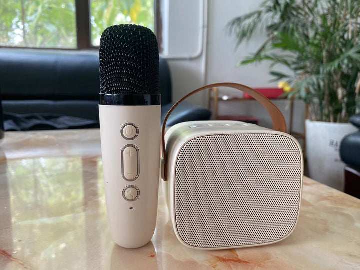 Portable Bluetooth Speaker with Wireless Microphone Stornfield
